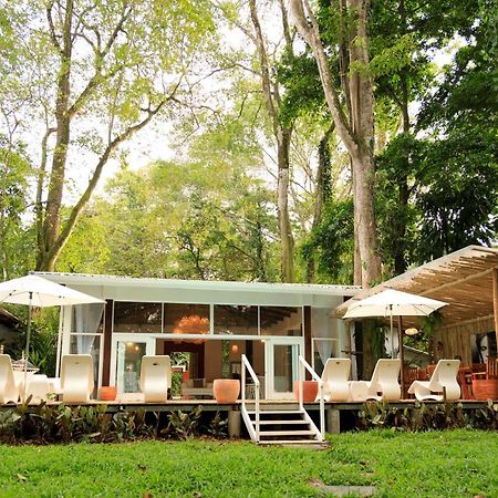 Gigi Brown Villa Frida Beachfront Puerto Viejo de Talamanca Eksteriør billede