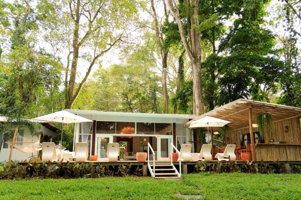 Gigi Brown Villa Frida Beachfront Puerto Viejo de Talamanca Eksteriør billede