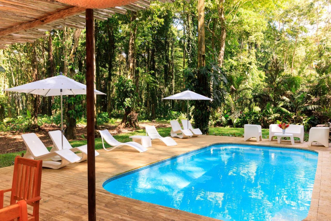Gigi Brown Villa Frida Beachfront Puerto Viejo de Talamanca Eksteriør billede