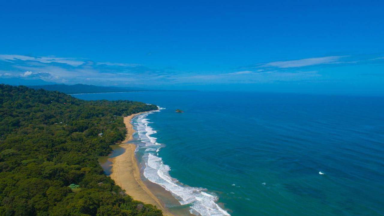 Gigi Brown Villa Frida Beachfront Puerto Viejo de Talamanca Eksteriør billede